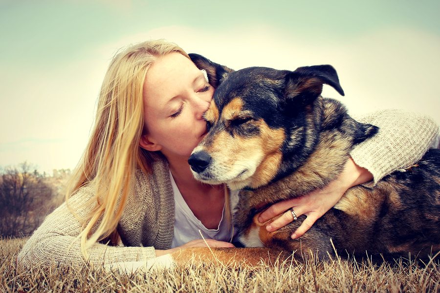 pet insurance - Animal Welfare Organizations